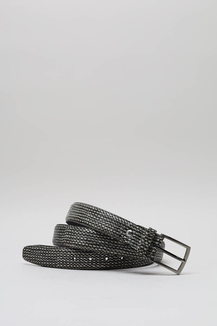 Grijs Riem