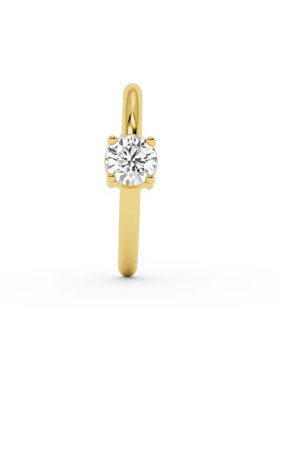 Goud Oorbellen