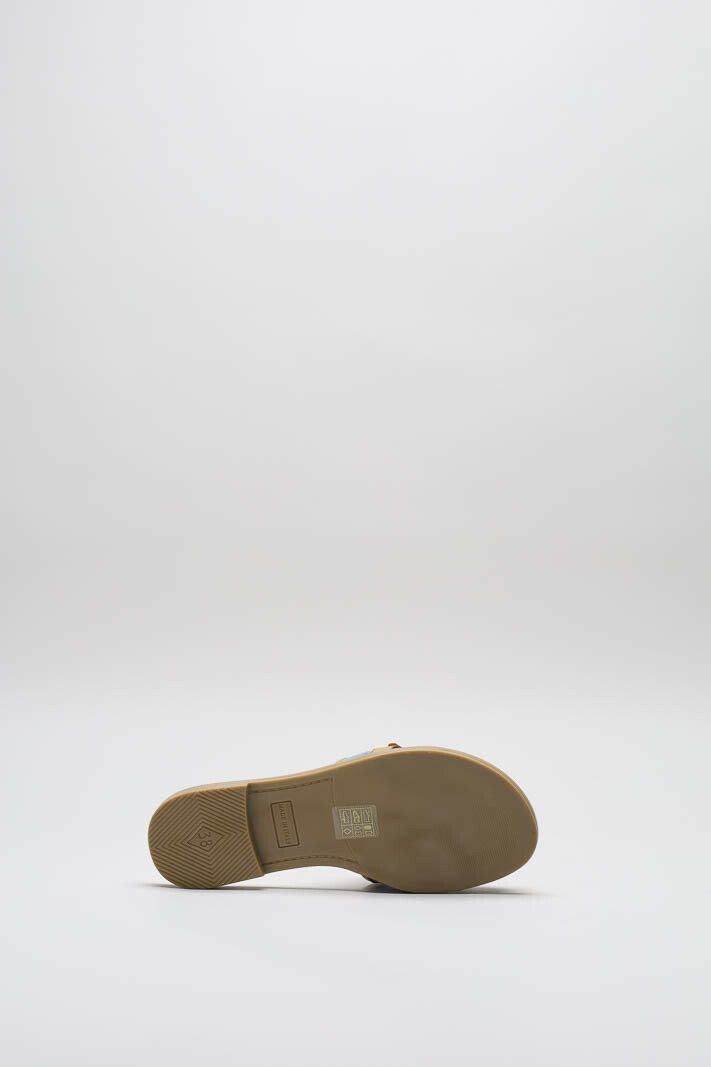 zoom in on Blauw Slipper image Blauw Slipper image