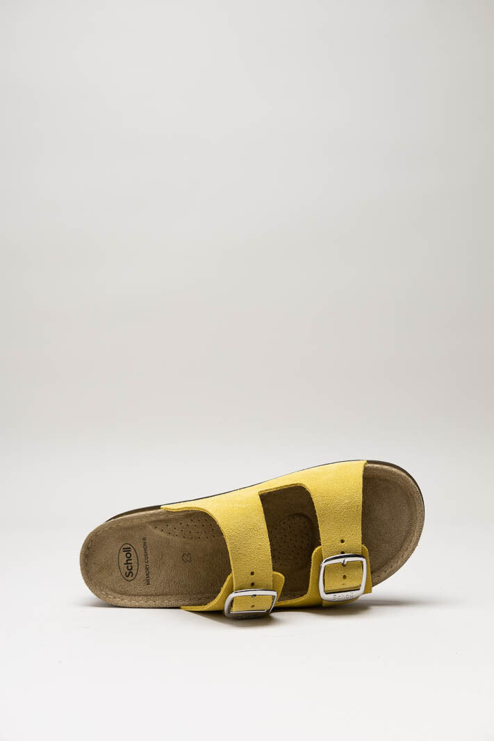 Geel Slipper image