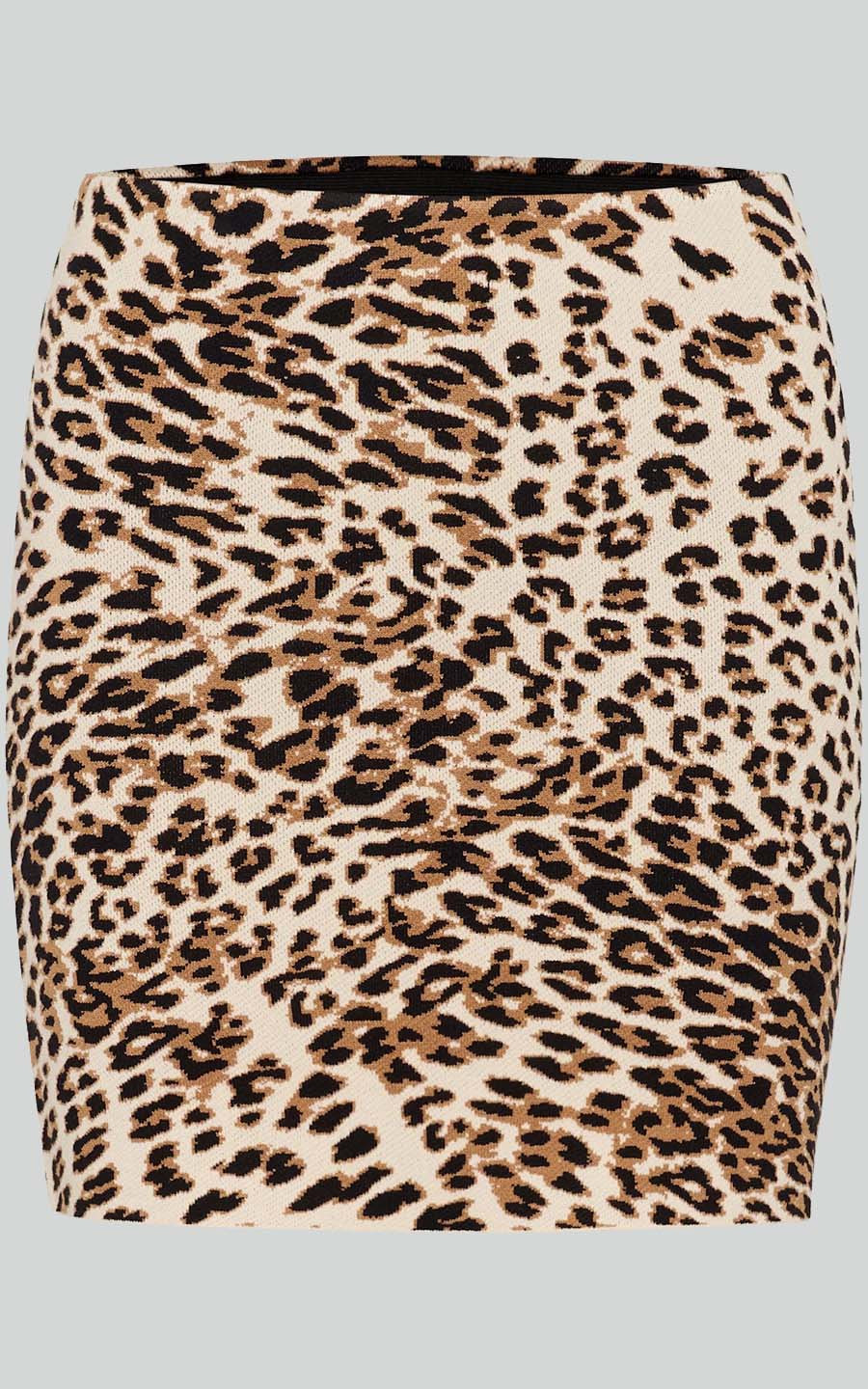 zoom in on Bruin Rok image Bruin Rok image