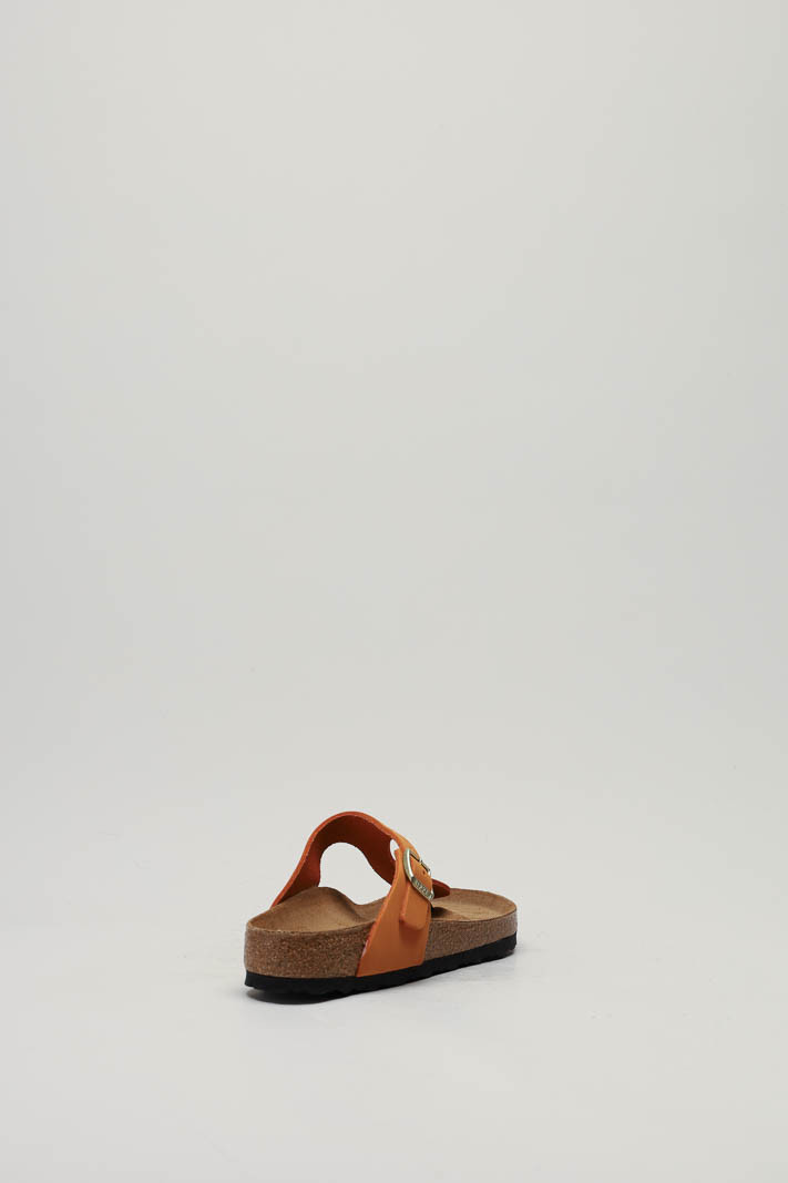 zoom in on Oranje Slipper image Oranje Slipper image
