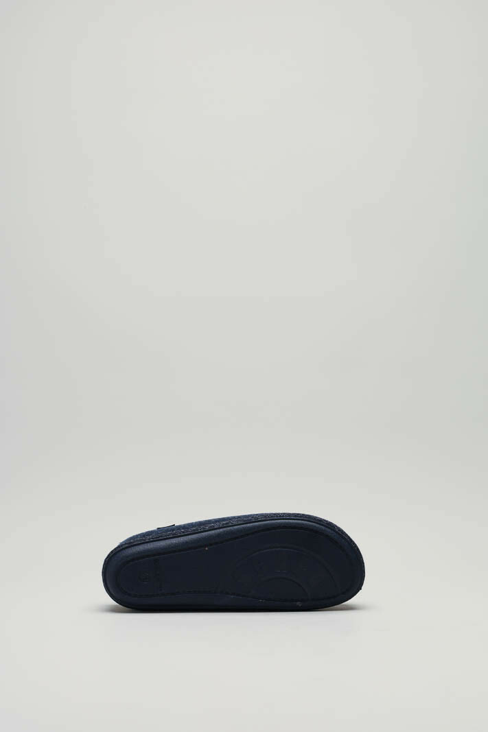 zoom in on Blauw Pantoffel image Blauw Pantoffel image