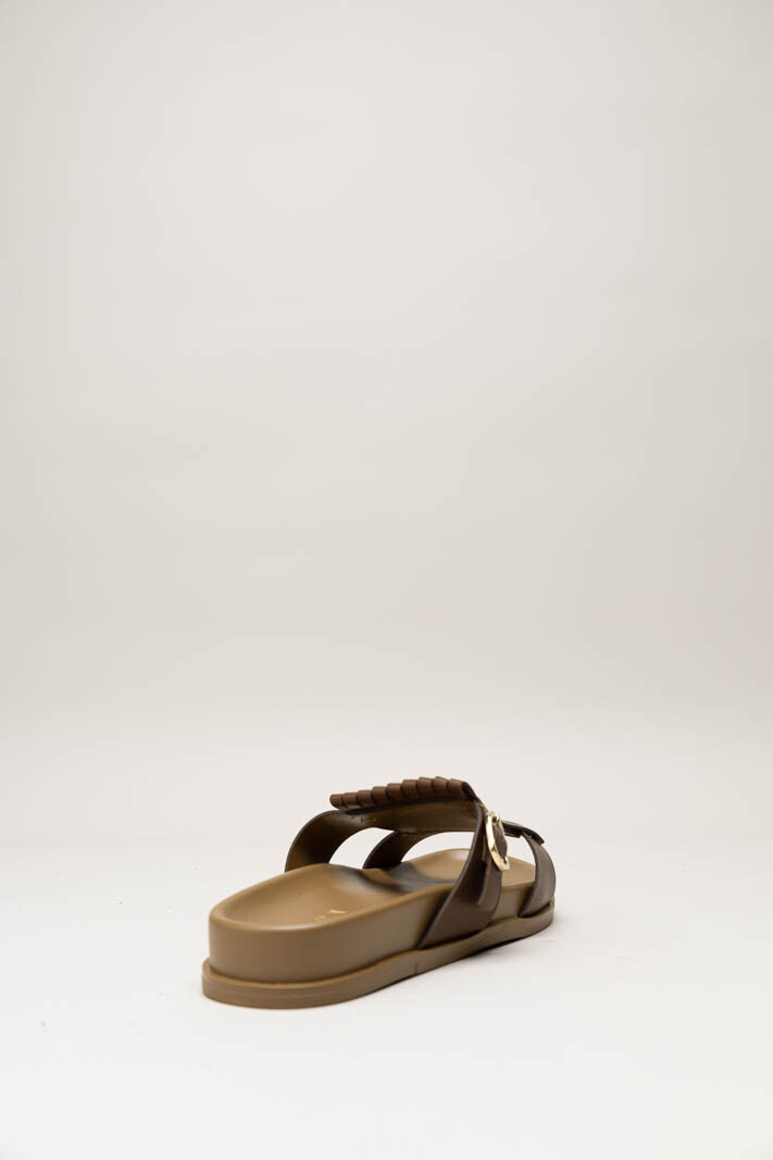 Bruin Slipper image