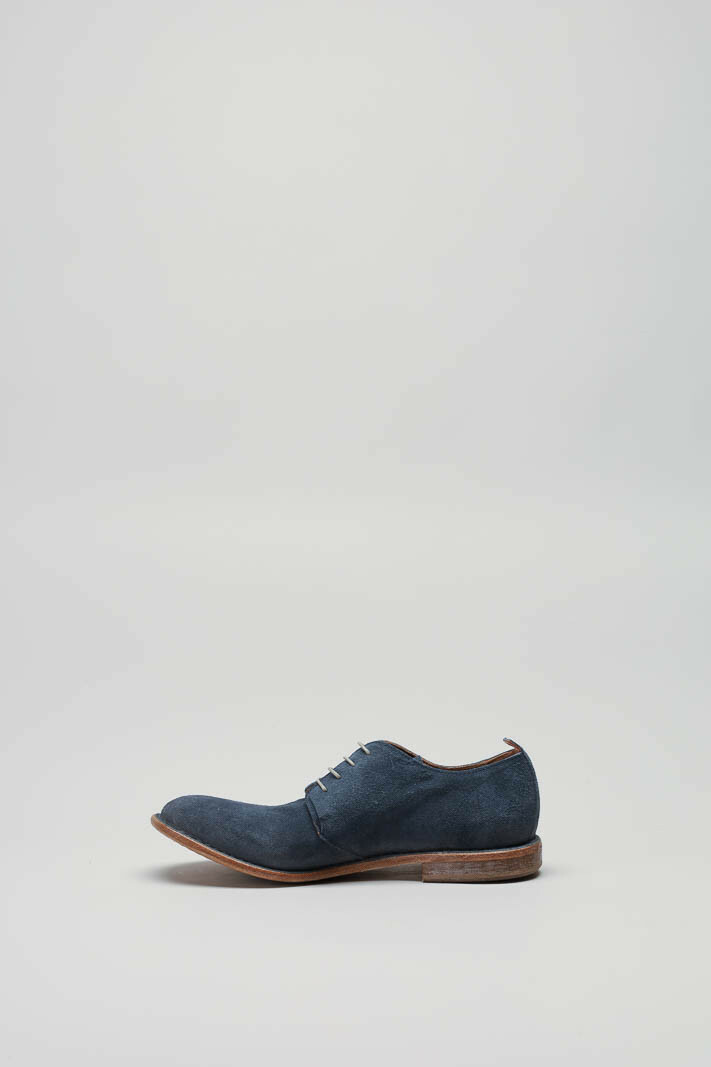 zoom in on Blauw Veterschoen image Blauw Veterschoen image
