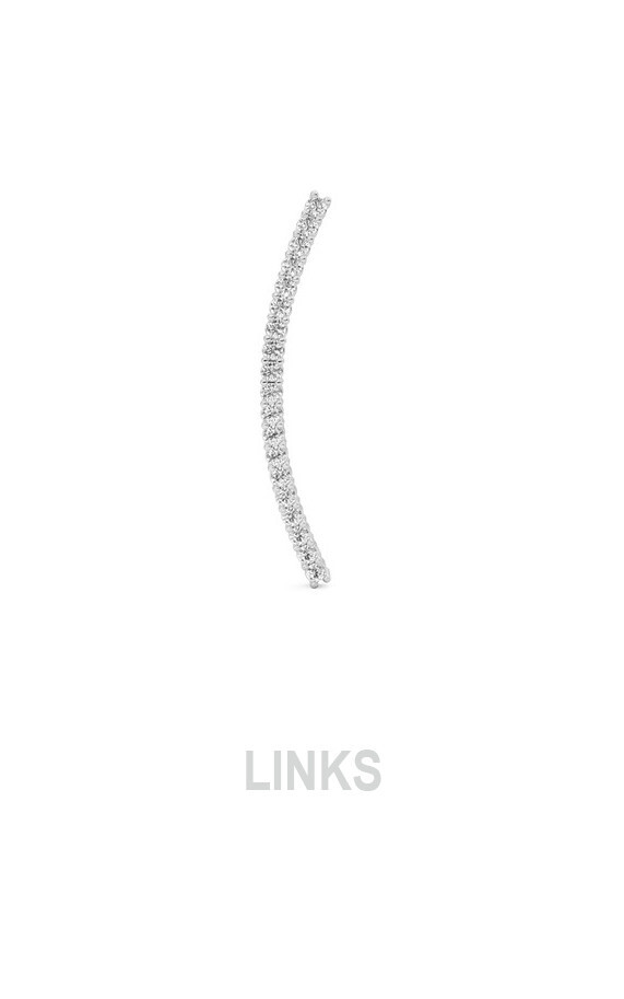 Zilver Oorbellen