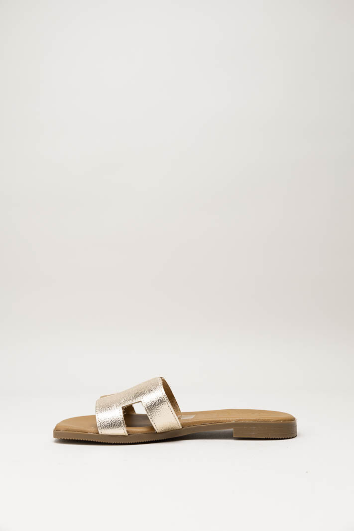 Goud Slipper image