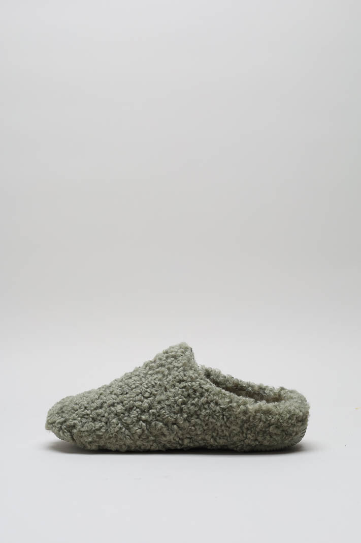 Groen Pantoffel image