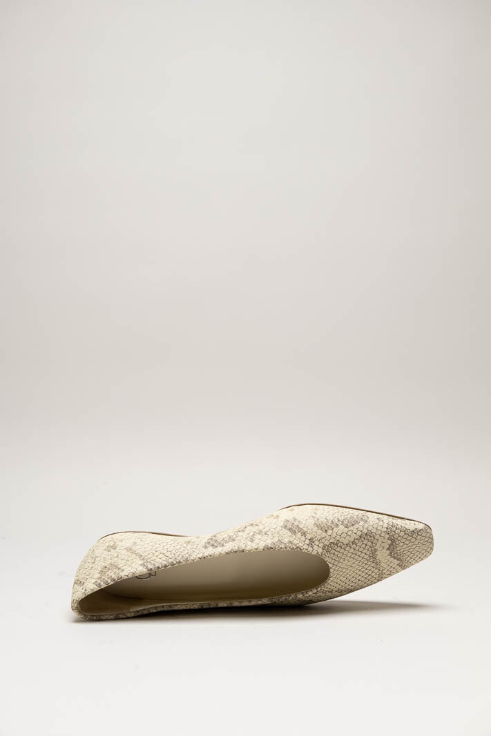 Greige Ballerina image