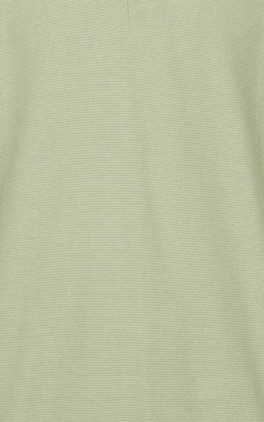 zoom in on Lichtgroen Polo image Lichtgroen Polo image
